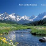 Summer 2025 Newsletter: Sustaining Wisdom, Serving the World